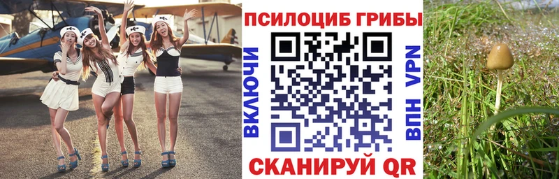 Галлюциногенные грибы мицелий  Костерёво 